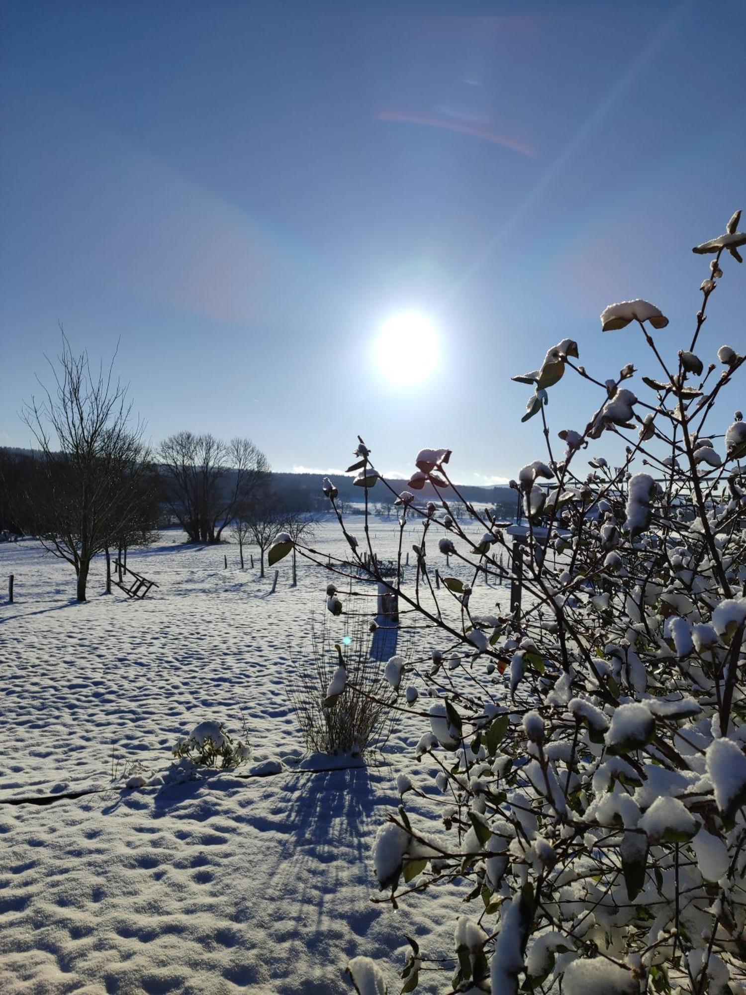 La Croisee Des Champs, Gite Entre Durbuy Et La Roche En Ardenne 에레제 외부 사진
